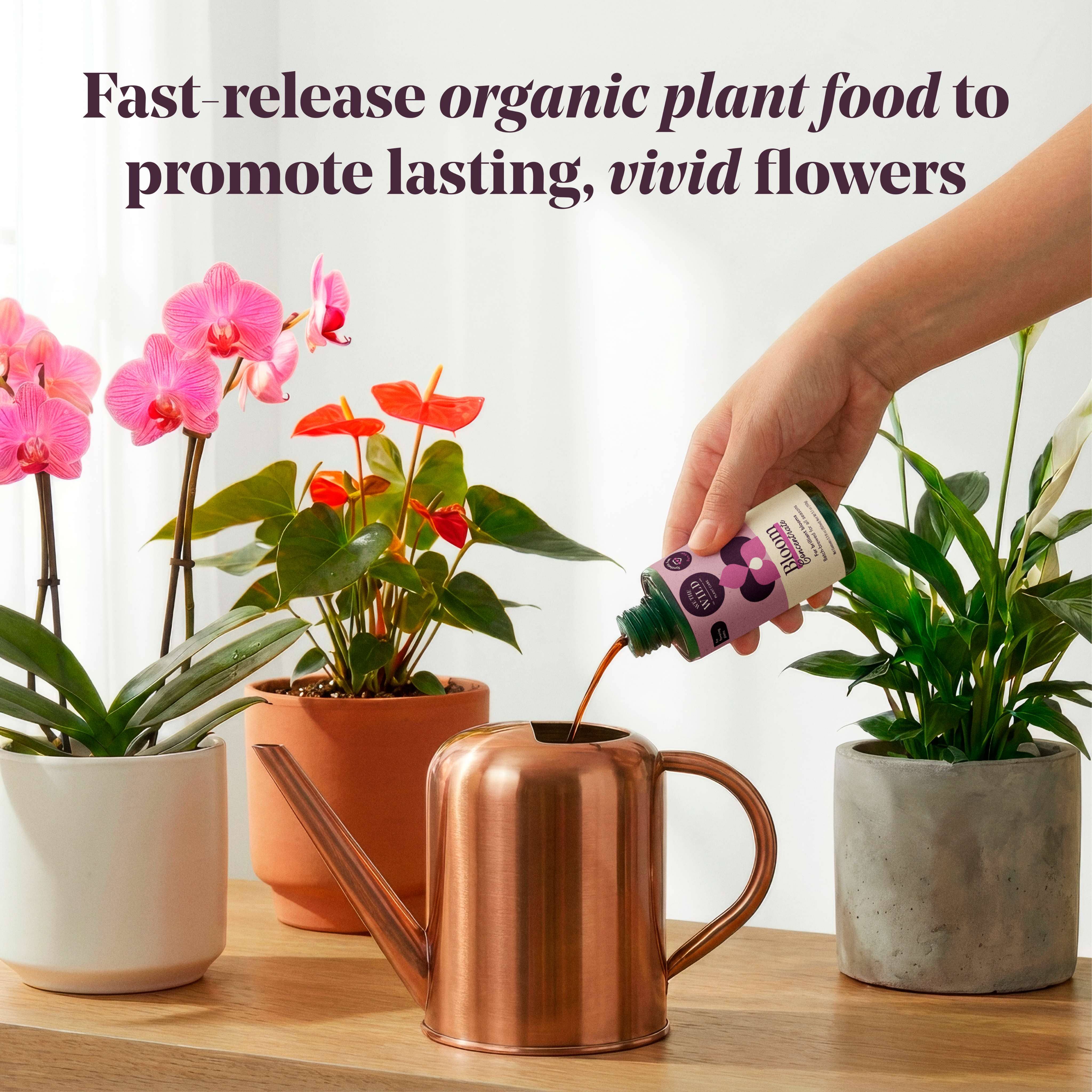 Bloom Organic Plant Food Concentrate 5 oz