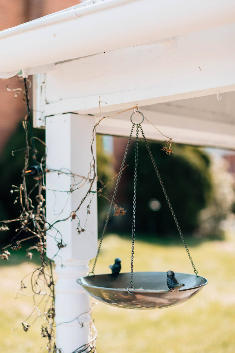 Clear Skies Bird Feeder