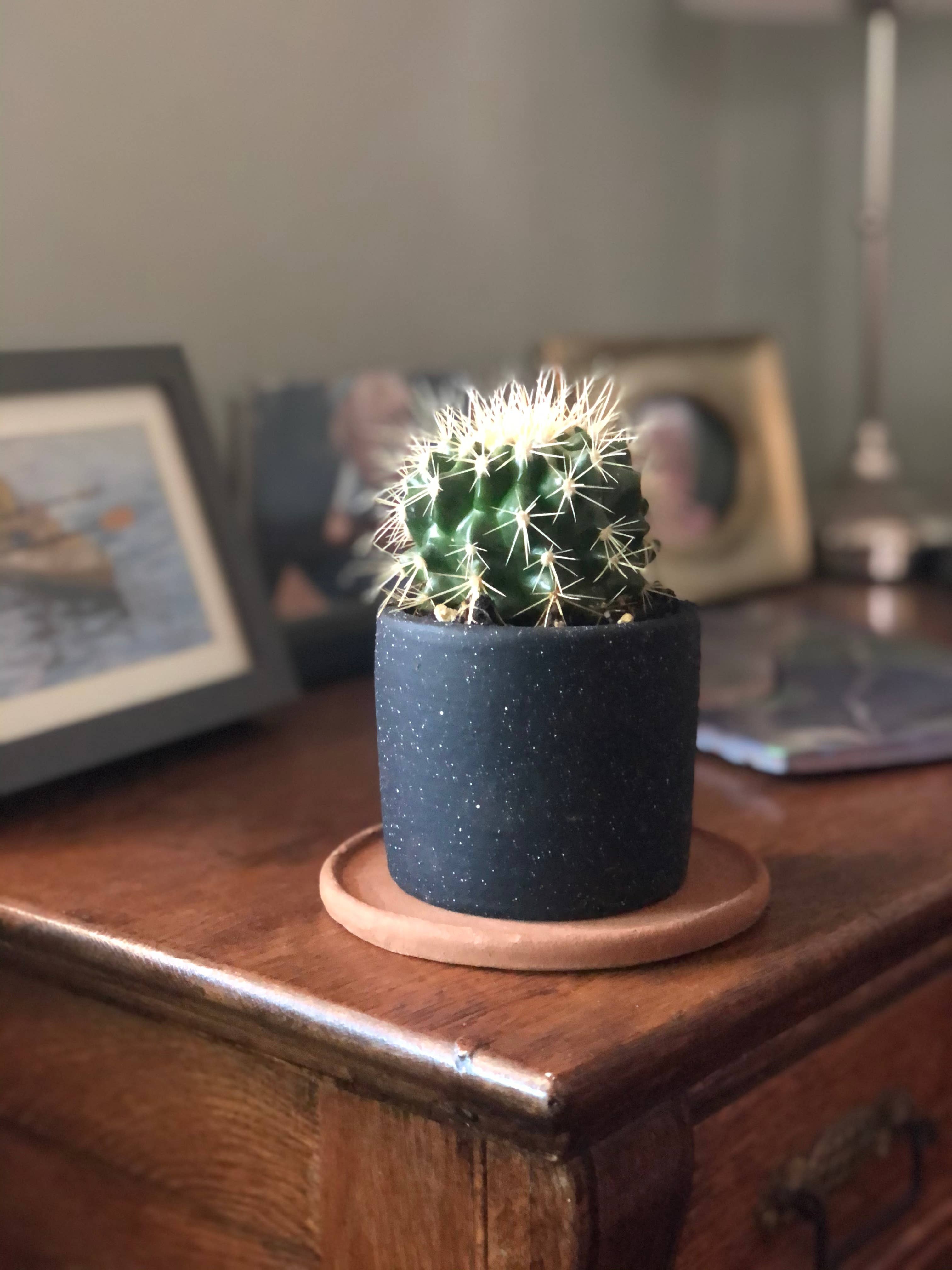 Small Ceramic Planter
