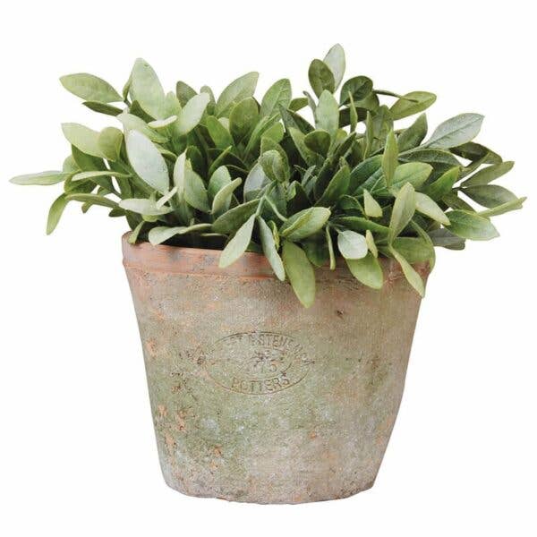 Aged Terracotta Round Flower Pot