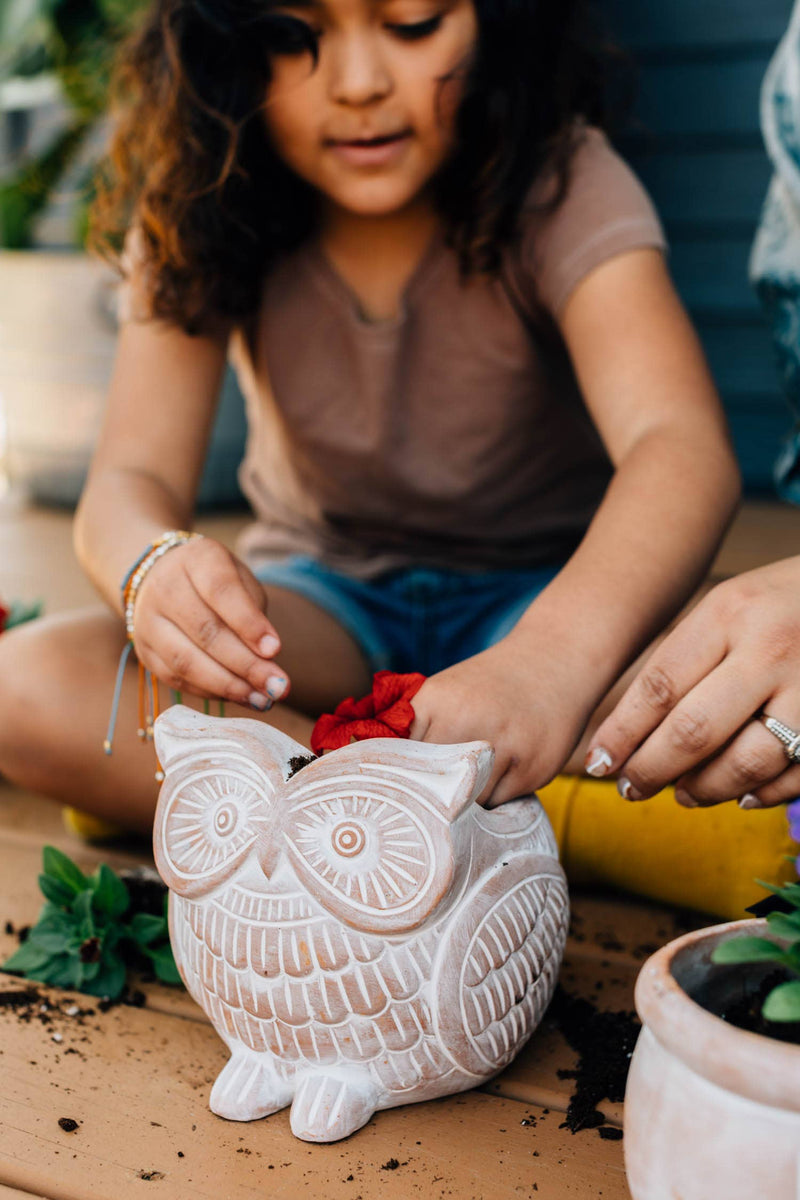 Owl Planter