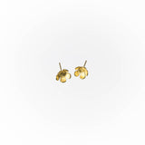 Forget-me-Not Stud Earrings (Silver, 14K) - Ethically Made