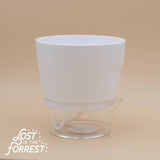 6" Padua Self-Watering Planter