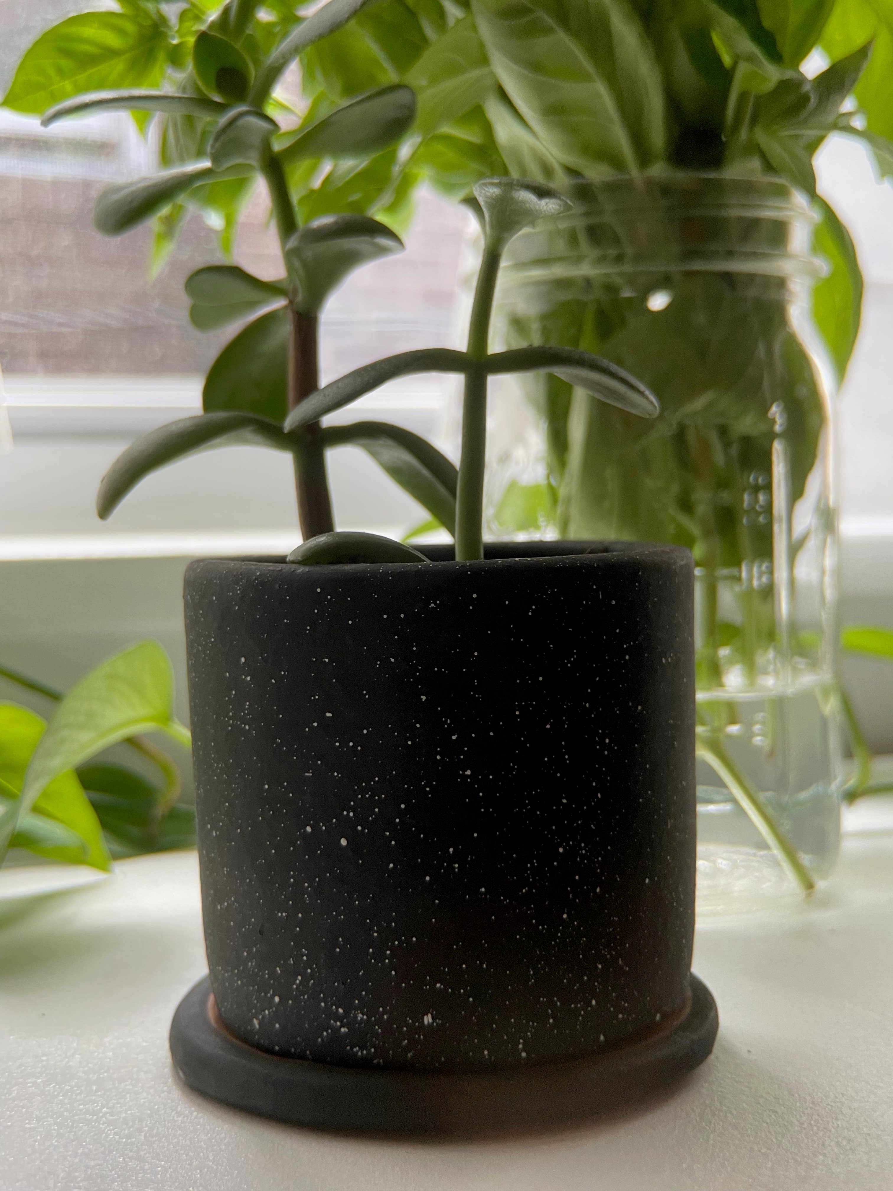 Small Ceramic Planter