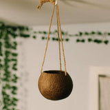 Hanging Coconut Planter Patio Decor | Plant Lover Bestseller