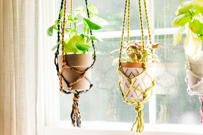 Saree Plant Hanger