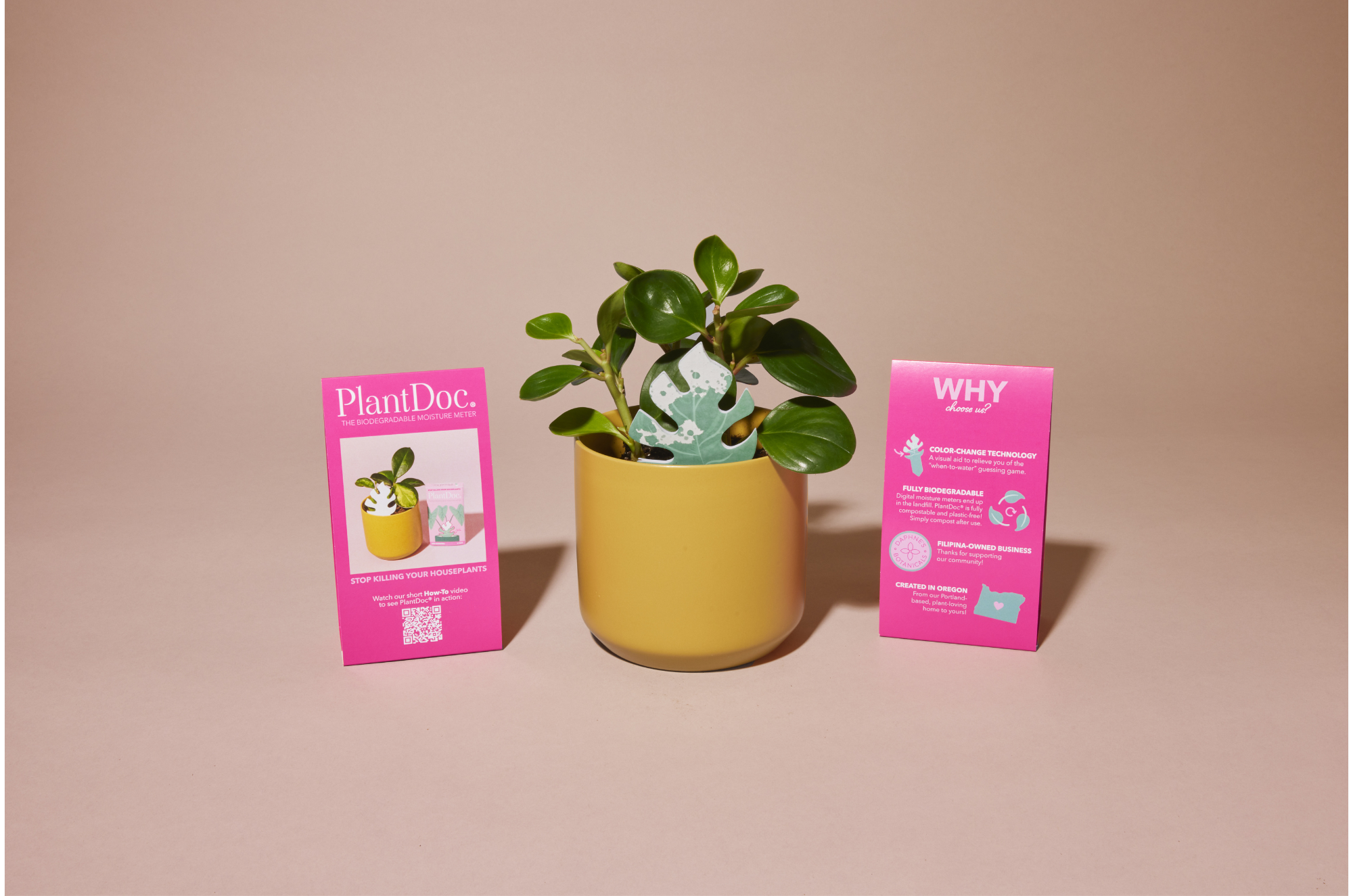 Monstera PlantDoc: Color-Change Plant Moisture Indicator