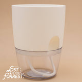 Padua Self-Watering Planter 4"