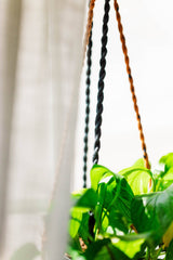 Saree Plant Hanger