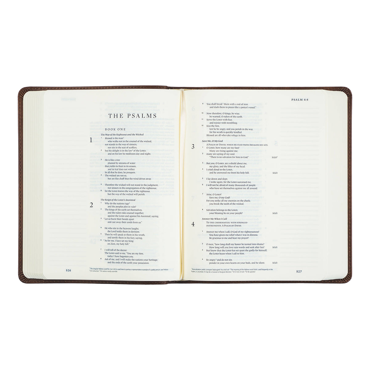 Westminster Theme: ESV Journaling Bible