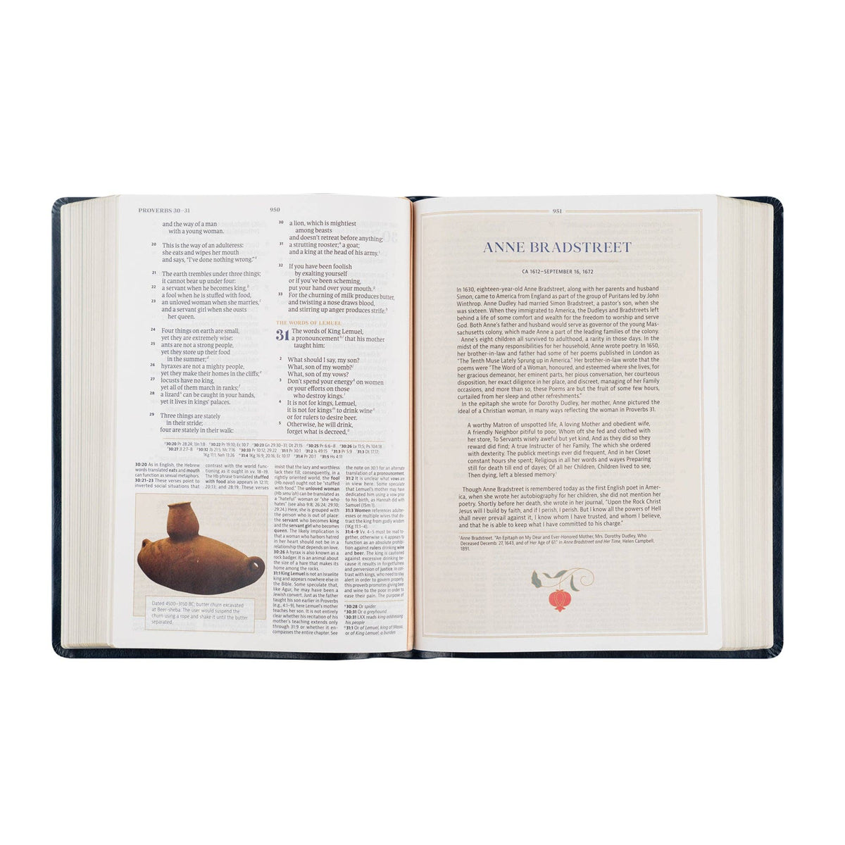 Versailles Theme: CSB Women's Study Bible