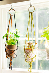 Saree Plant Hanger