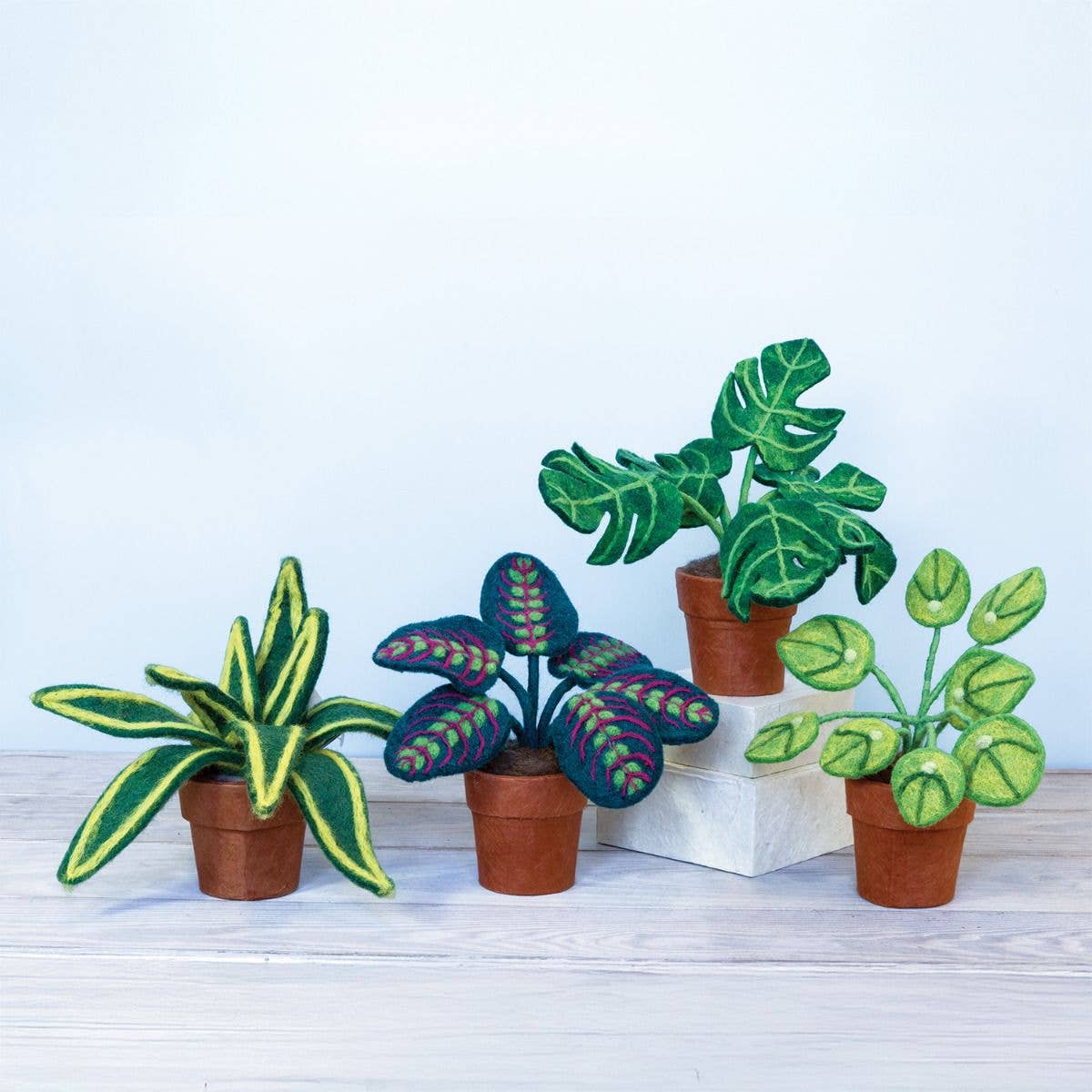 Monstera Plant Felt Plant