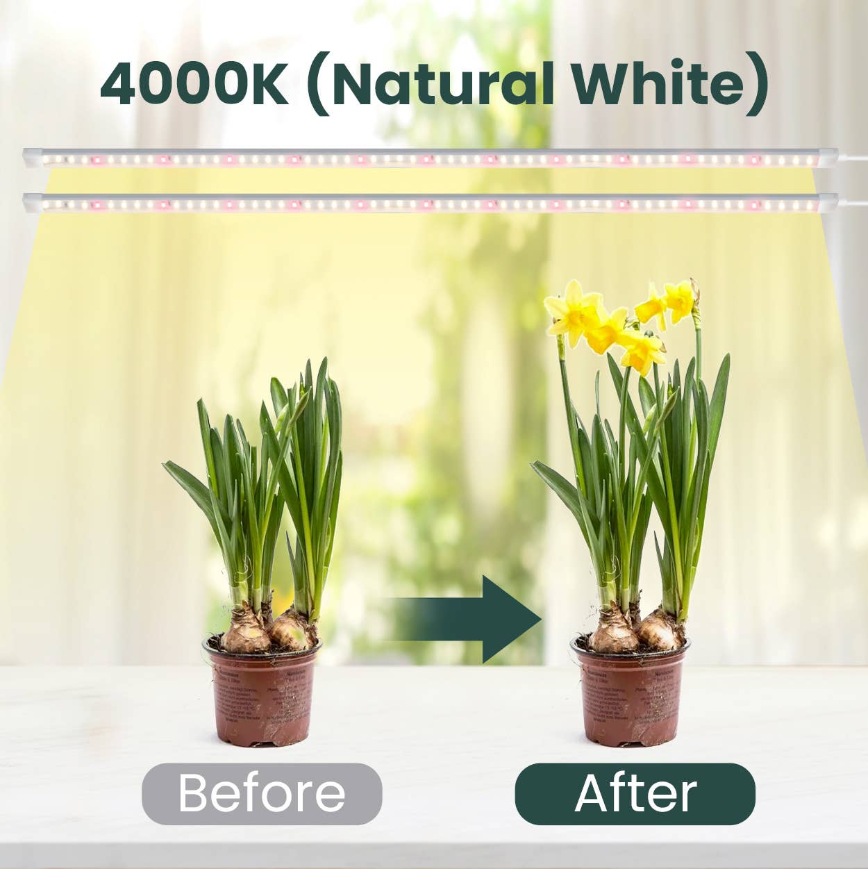 Houseplant Grow Light Strips | 3 Pack | Flex Grow