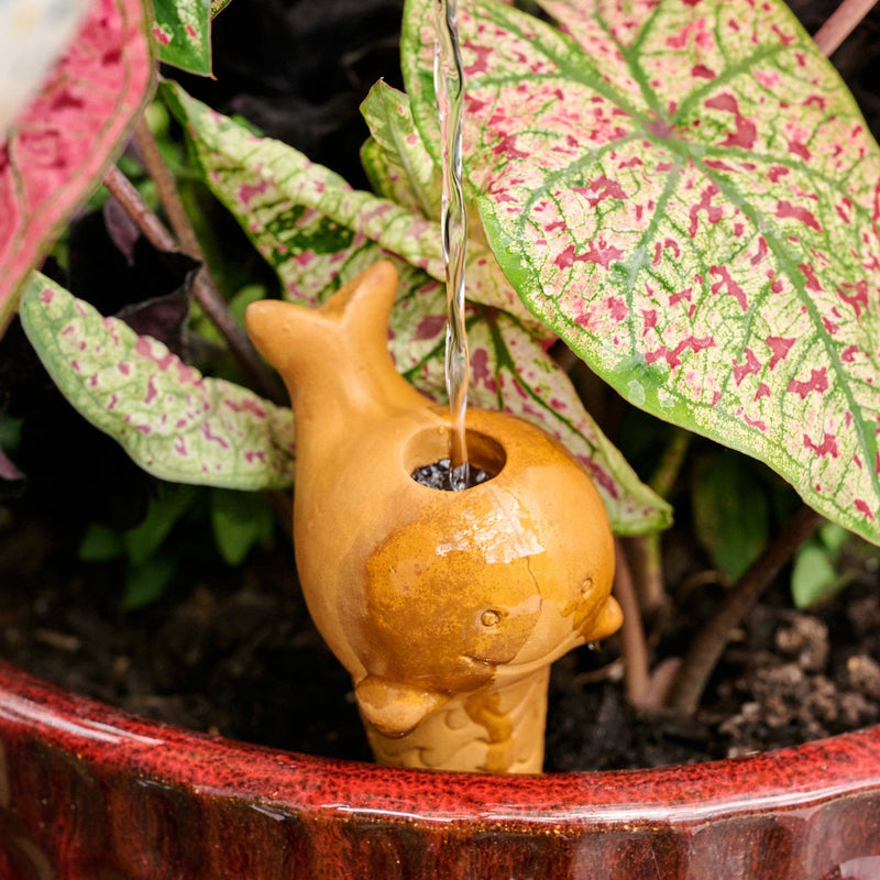 Self Watering Plant Pet - Whale