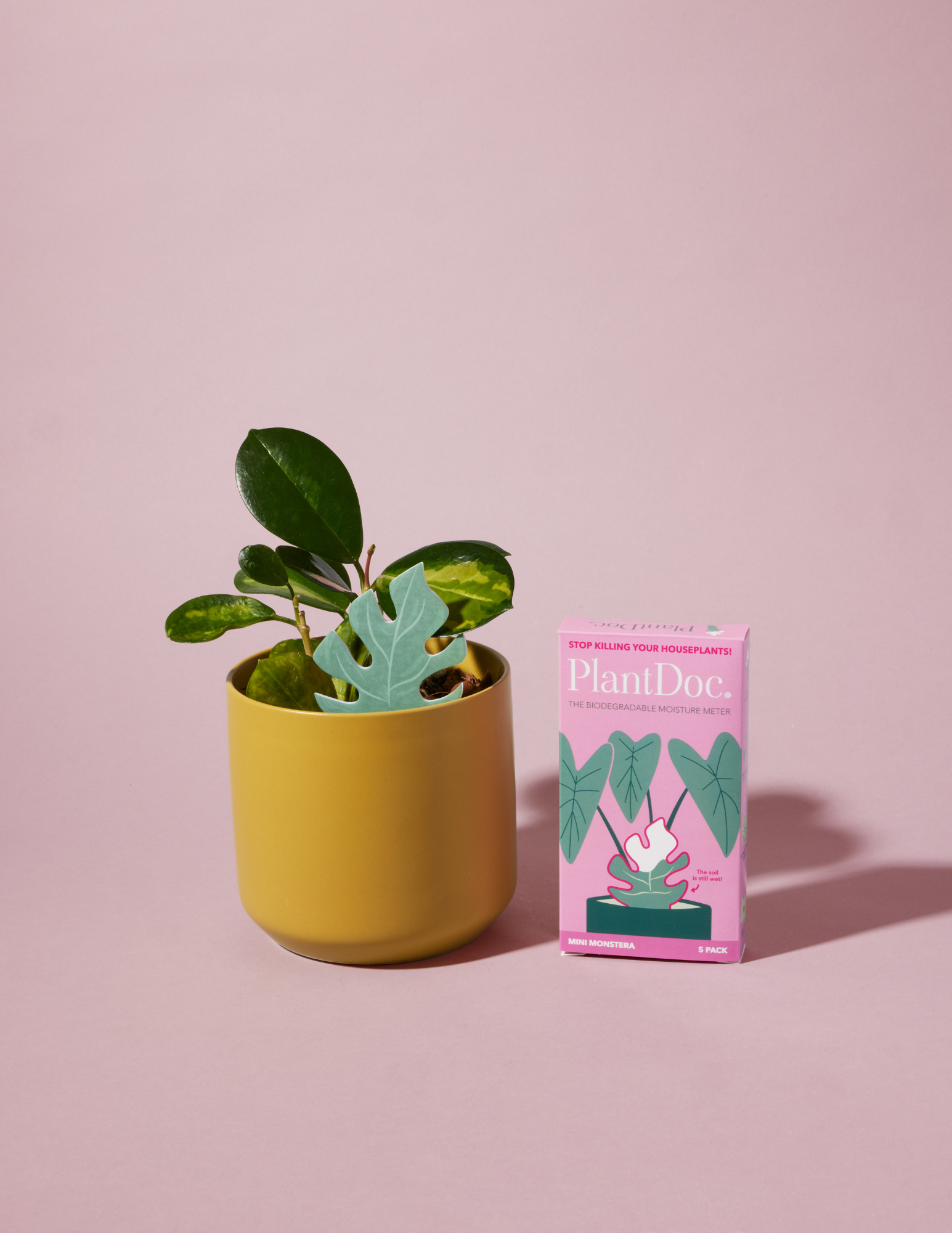 Monstera PlantDoc: Color-Change Plant Moisture Indicator