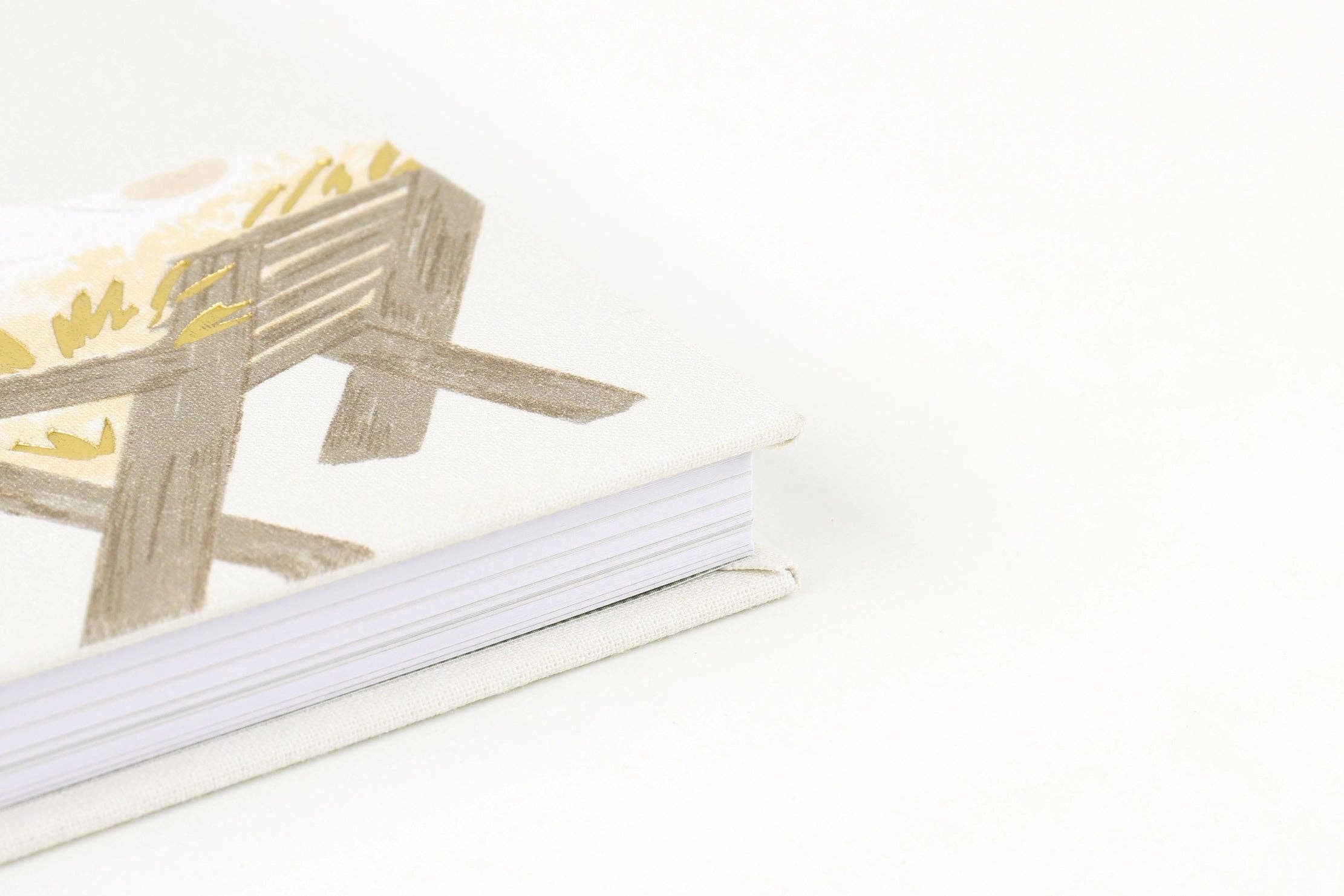 Light of the World: A 25-Day Advent Devotional