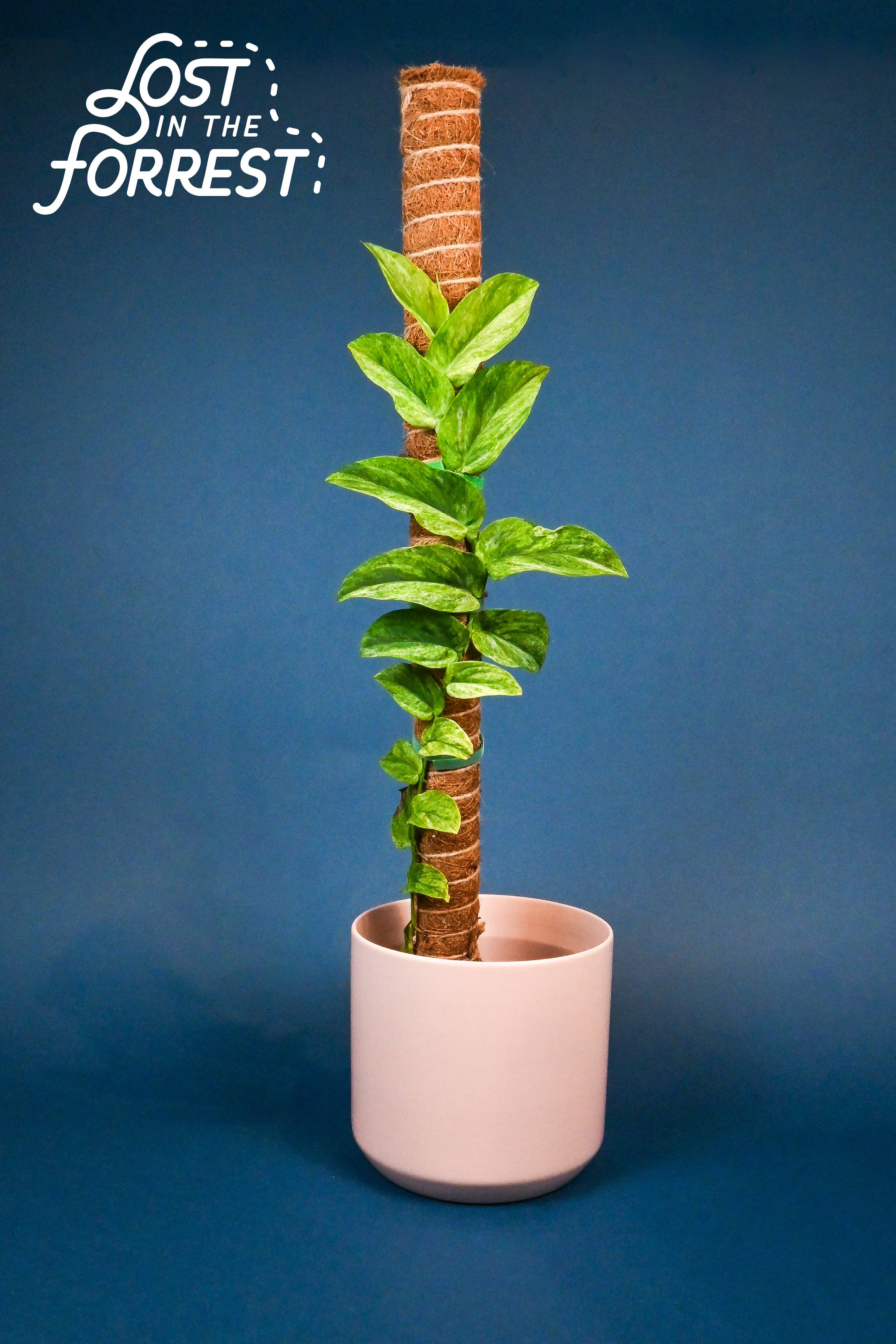 LITF Stackable Coir Pole