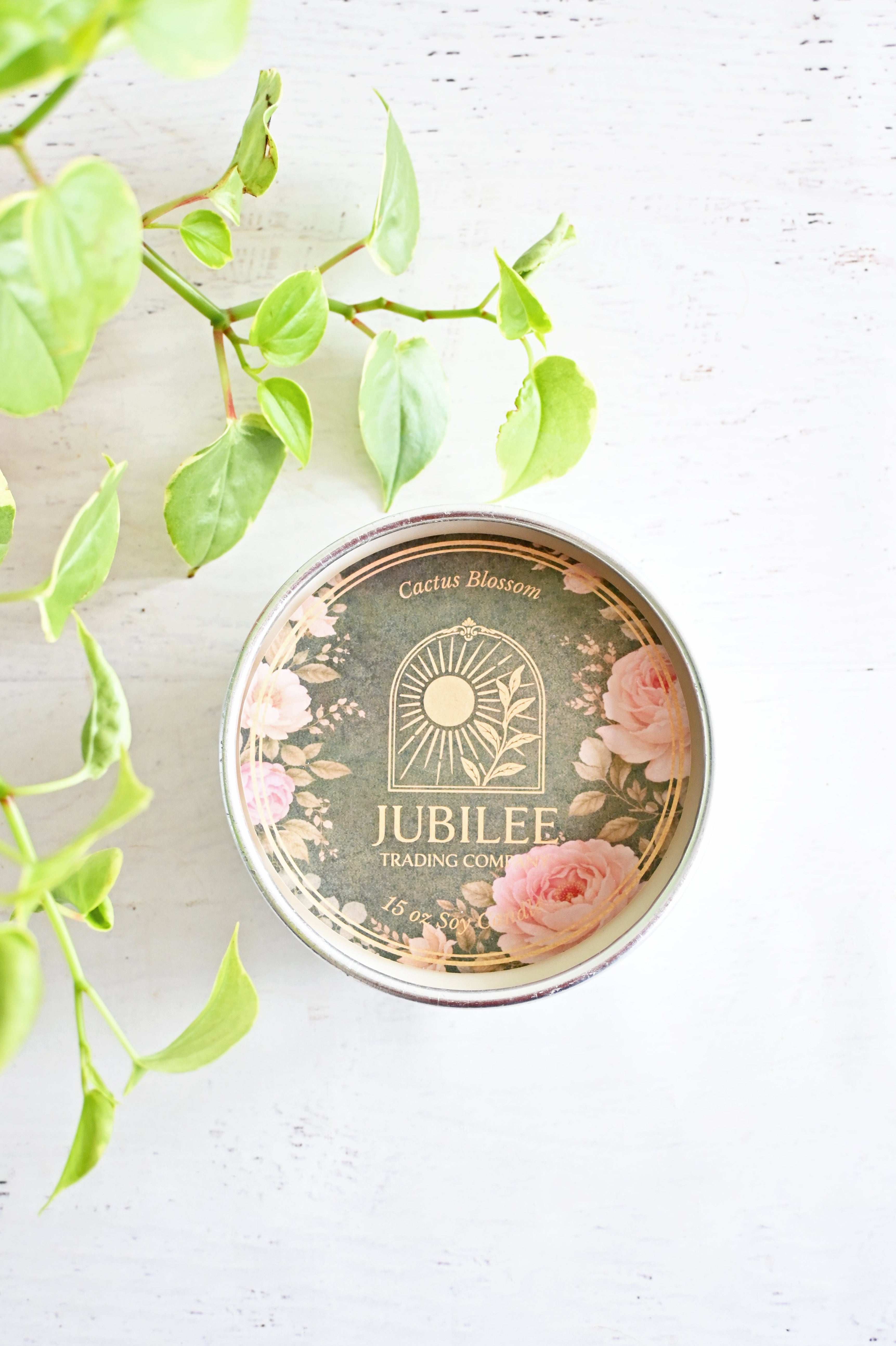 Baja Cactus Blossom Candle