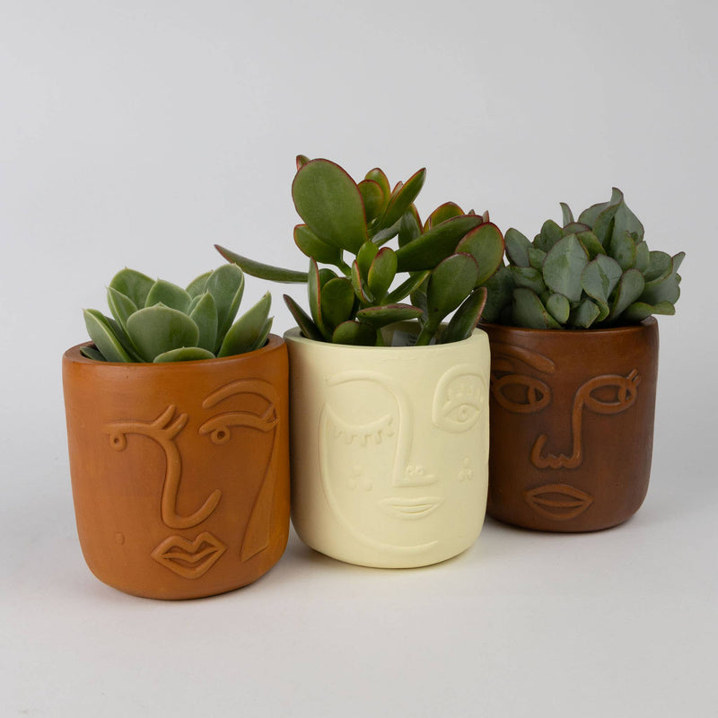 Full Lashes Terracotta Face Planter 4"