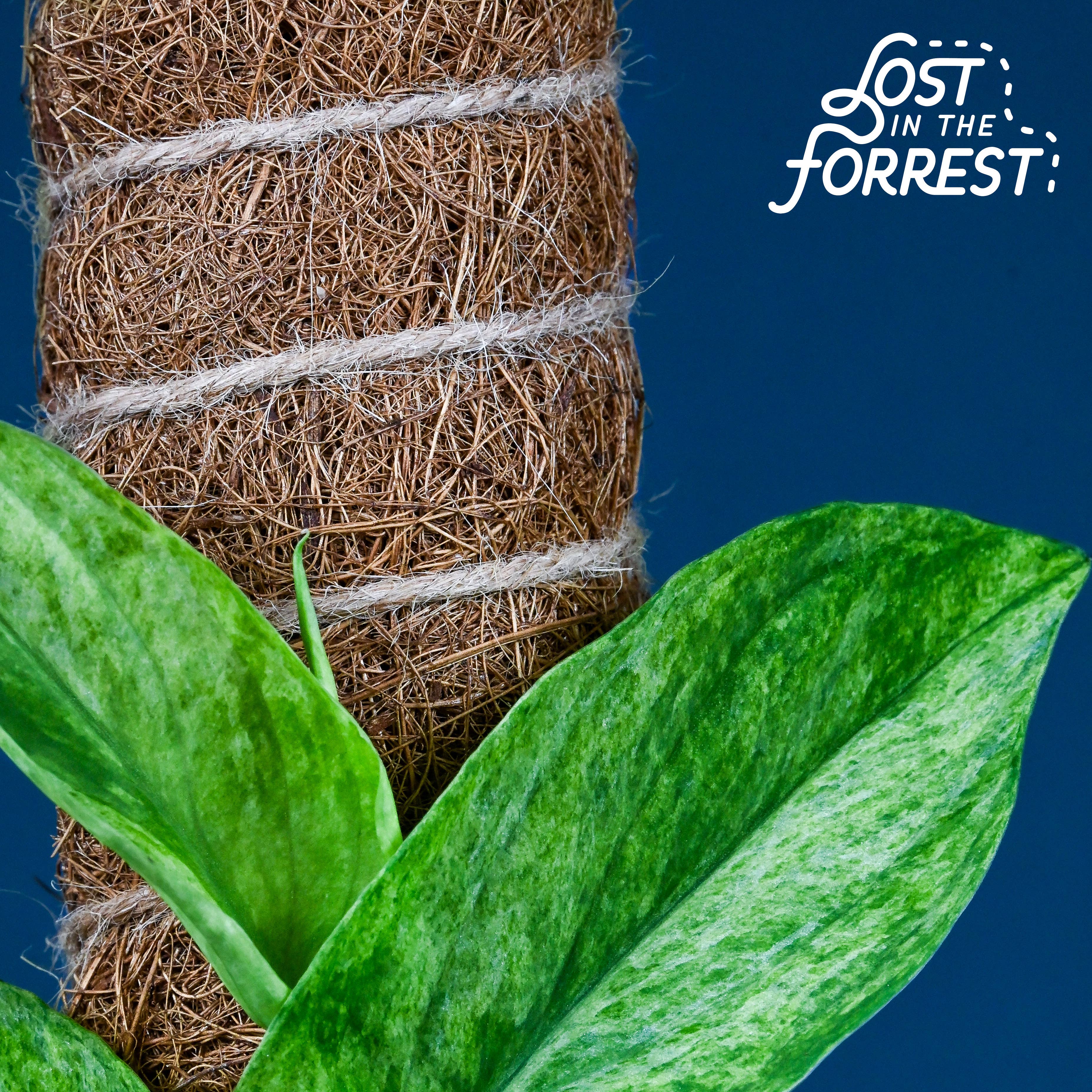 LITF Stackable Coir Pole