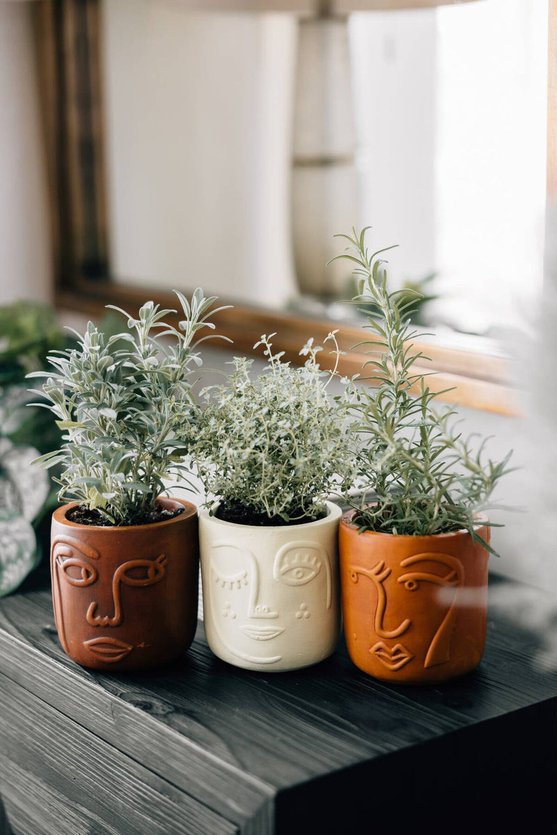 Winky Face Cream Terracotta Planter 4"