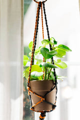 Saree Plant Hanger