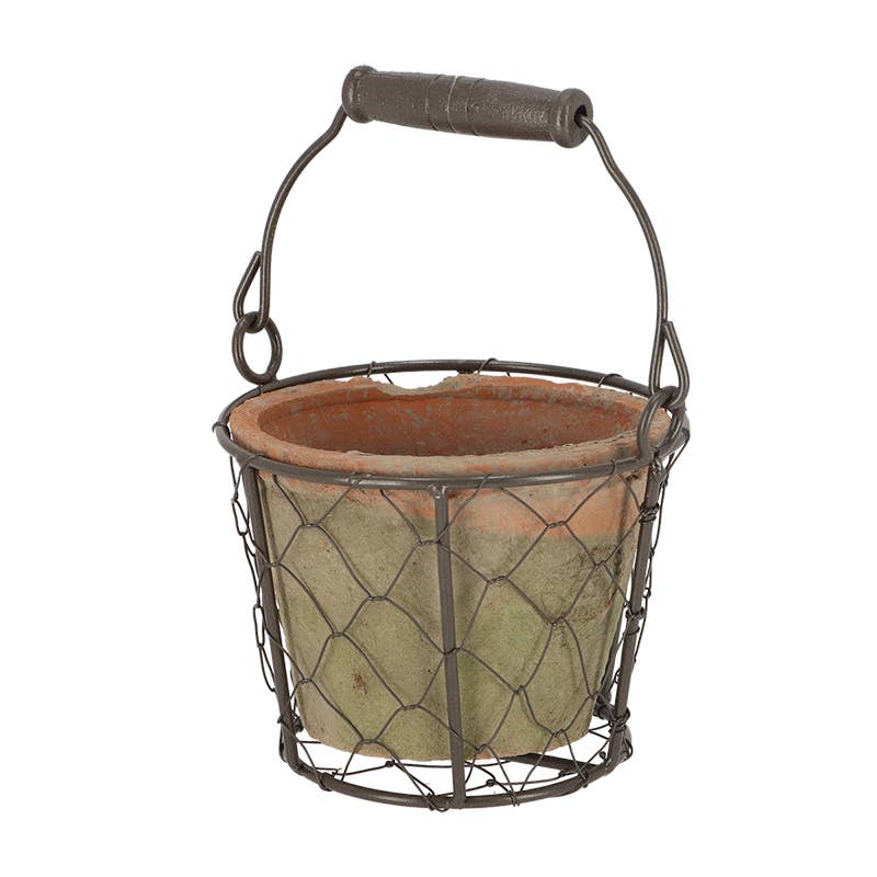 Aged Terracotta Single Flower Pot in Metal Basket w/Handle