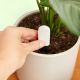 Moisture Meter