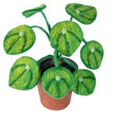 Money Plant Felt Plant