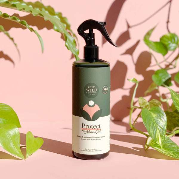 Protect Organic Leaf Spray