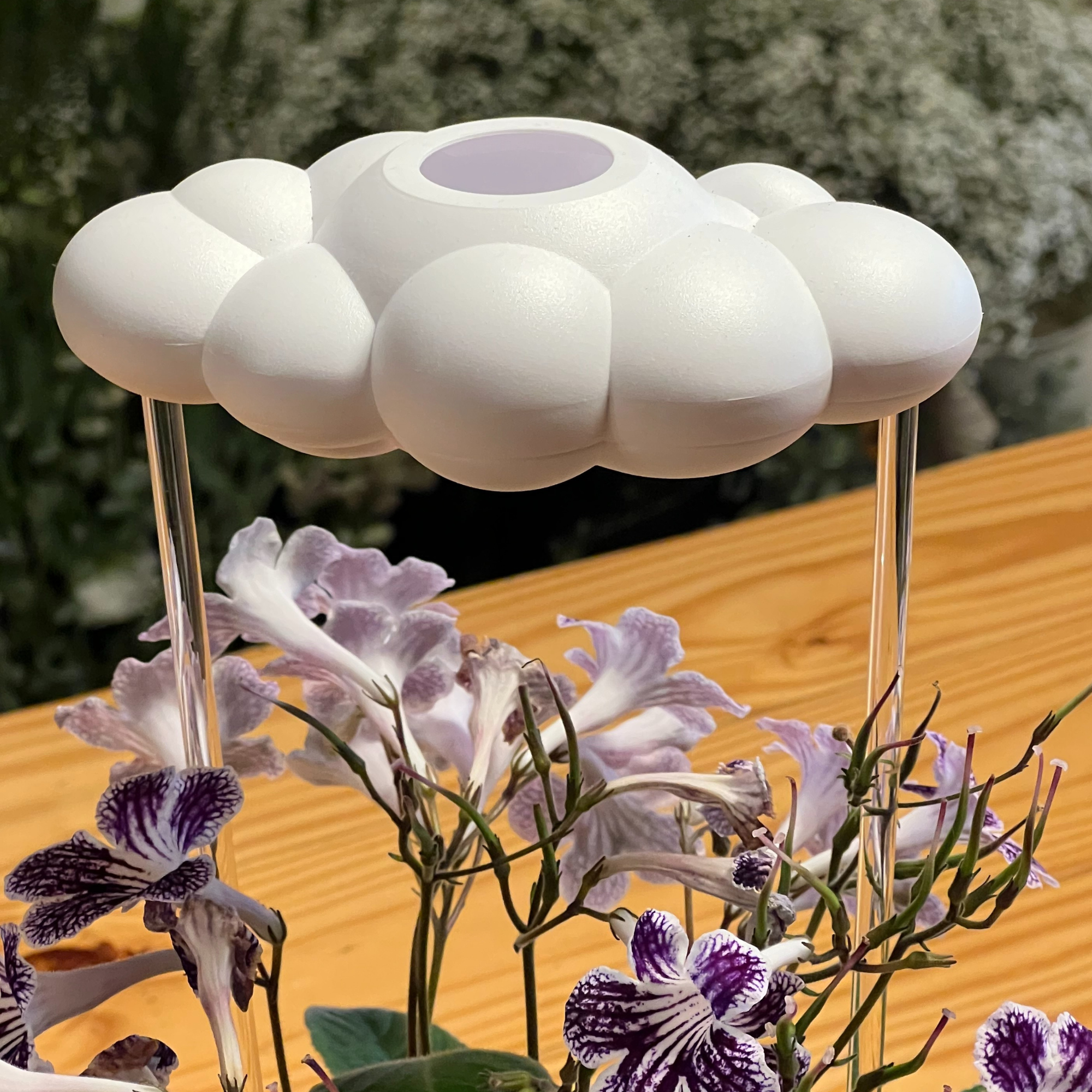 Original Dripping Rain Cloud
