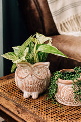 Owl Planter