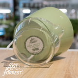 6" Padua Self-Watering Planter