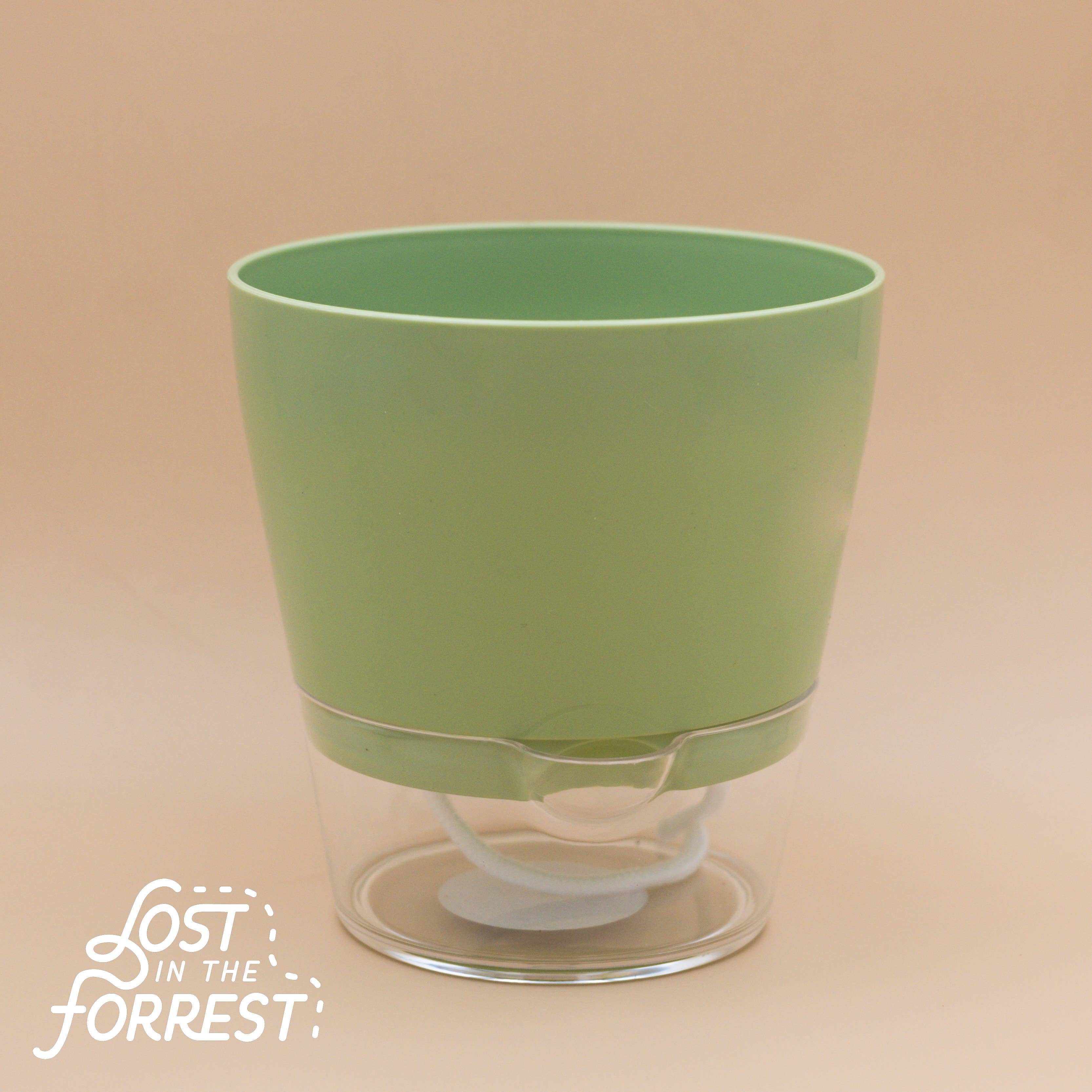 6" Padua Self-Watering Planter