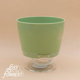 6" Padua Self-Watering Planter