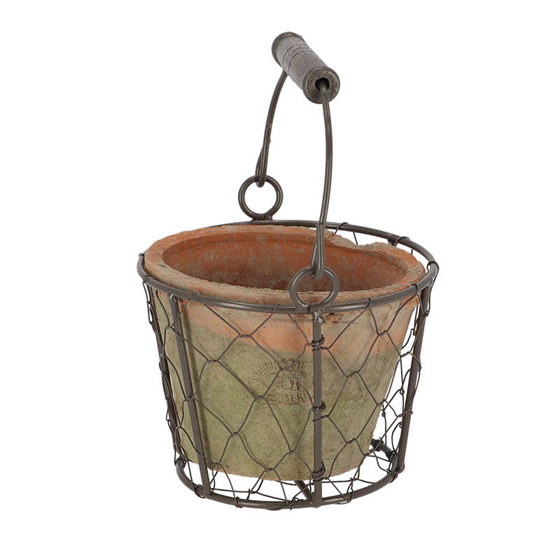 Aged Terracotta Single Flower Pot in Metal Basket w/Handle