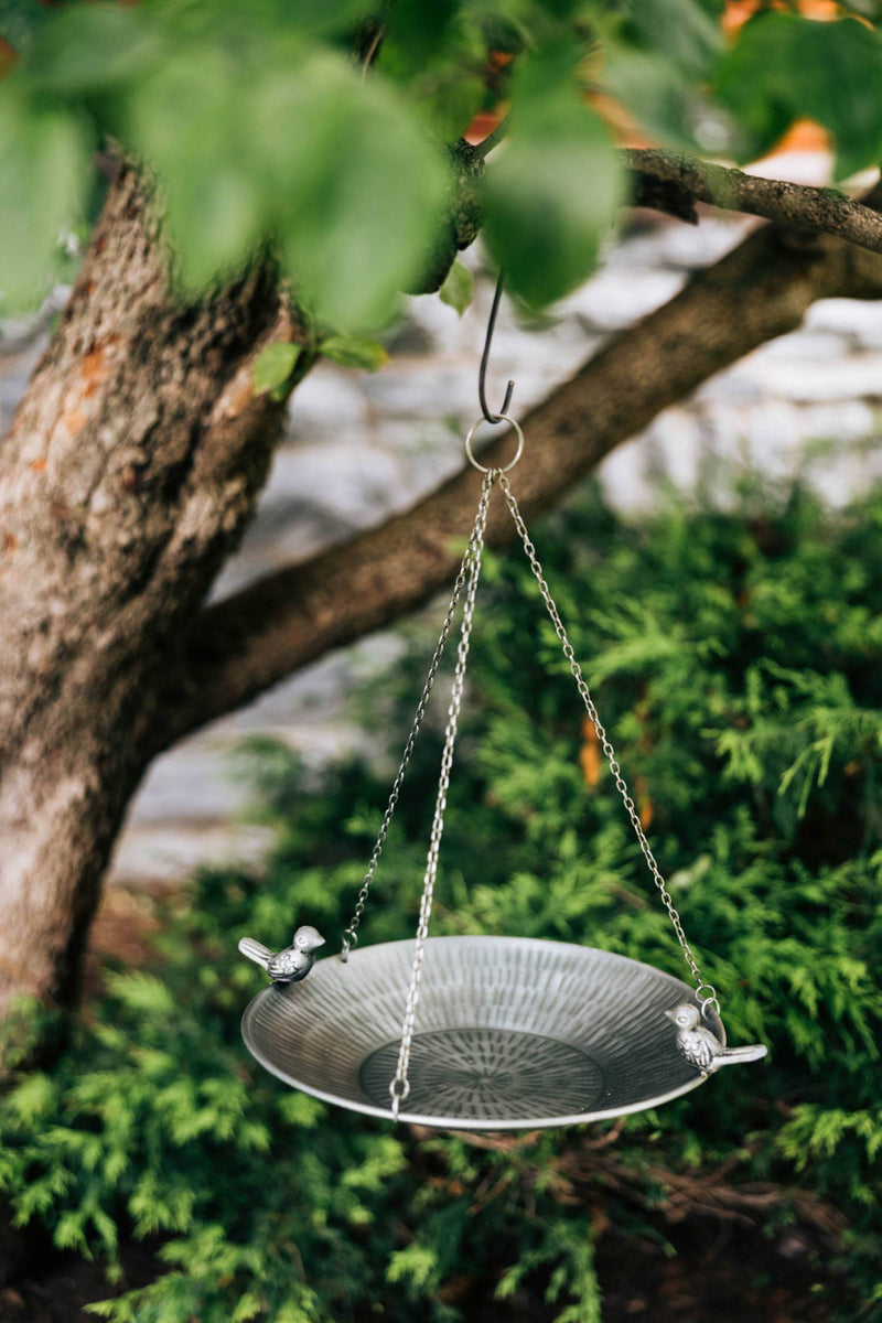 Clear Skies Bird Feeder