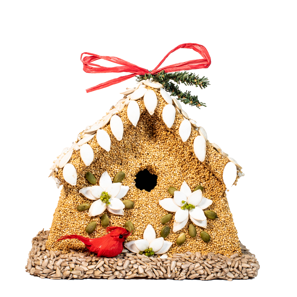Poinsettia House