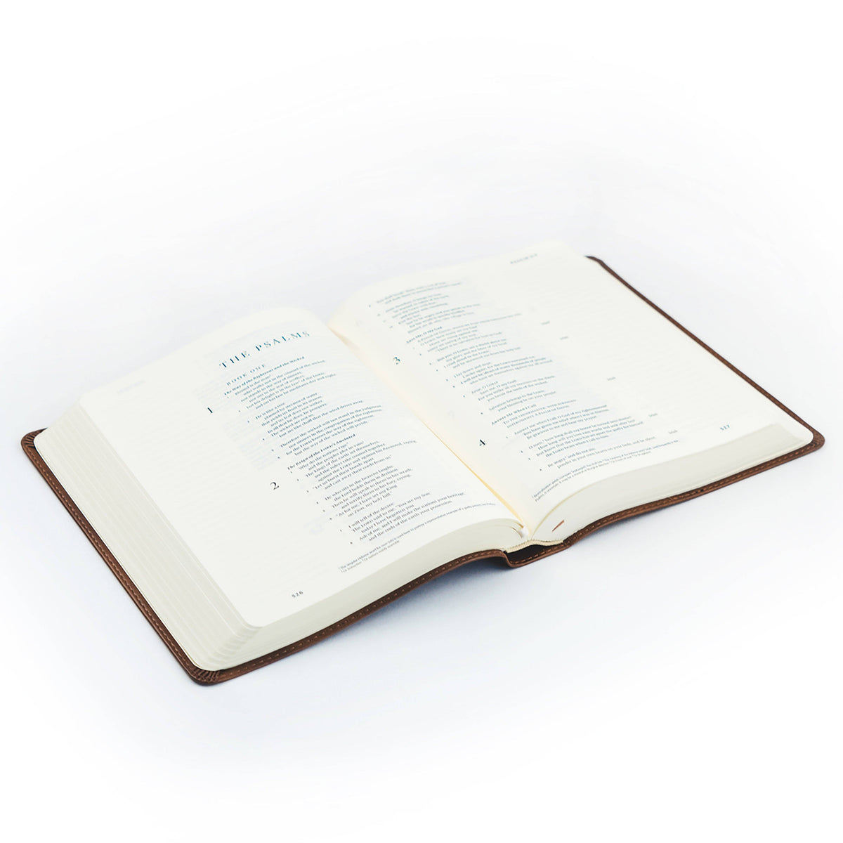 Westminster Theme: ESV Journaling Bible