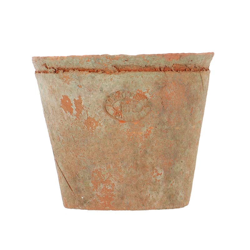 Aged Terracotta Flower Pot