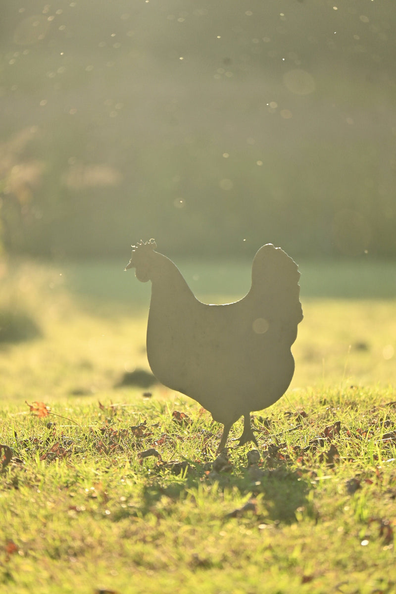 Hen + Baby Chicks Stake Statue | chicken decor hen statue chicken garden stake outdoor rustic metal art farmhouse decor chicken statue