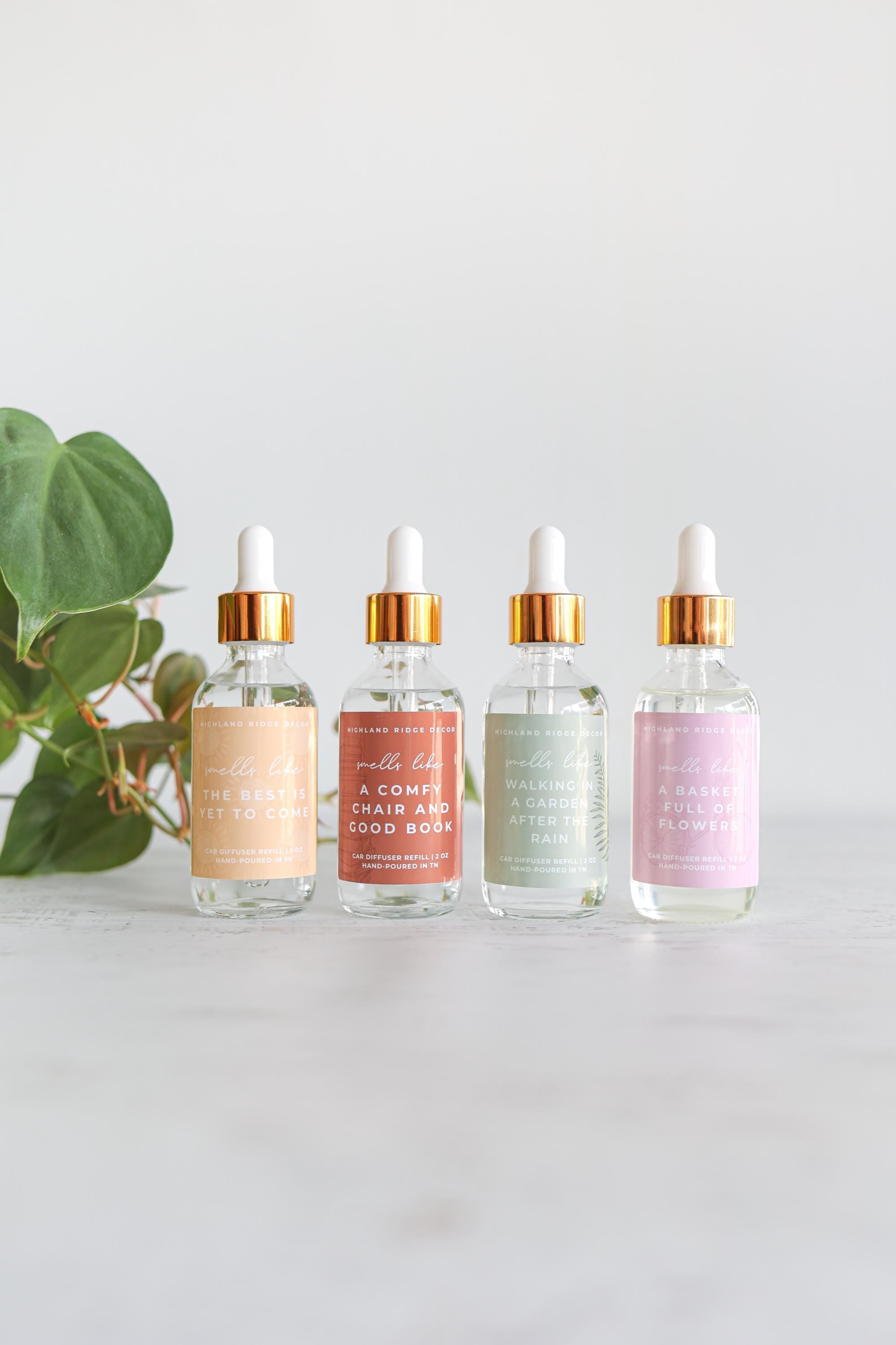 Walking in a Garden After the Rain Car Diffuser Refill | car freshie refill | bottle diffuser refill | gardenia + fern | scented freshener