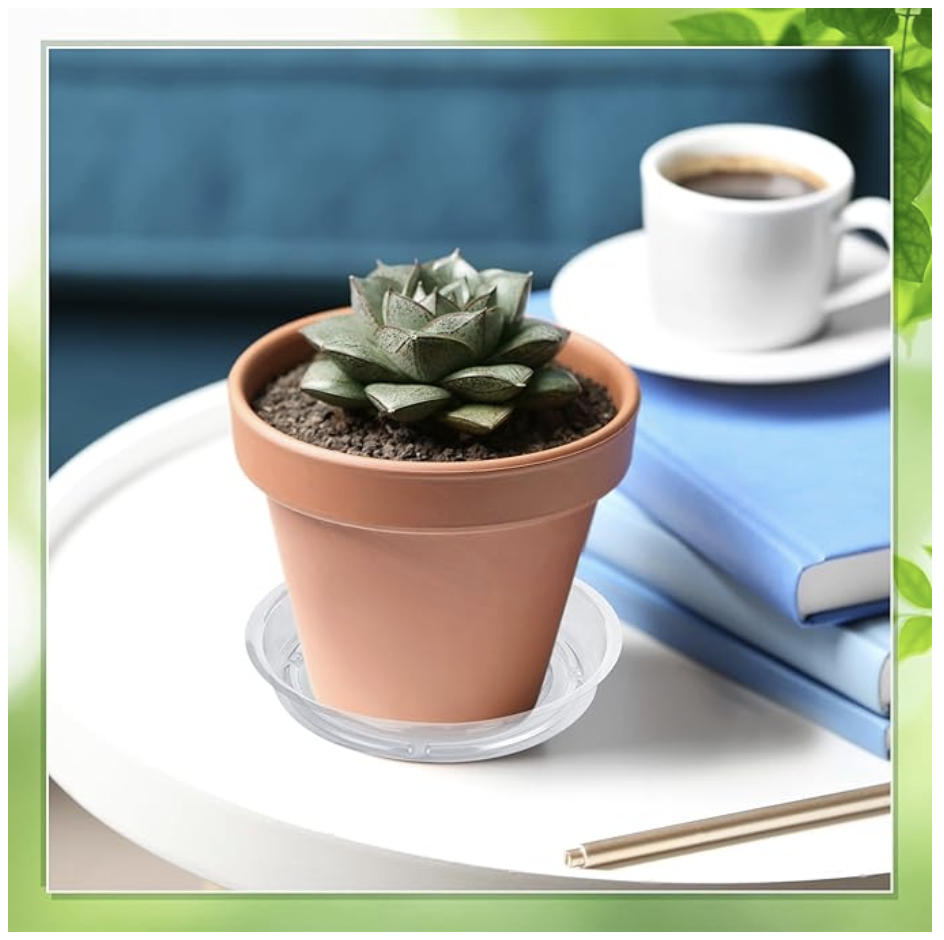 6" Clear Plant Saucers