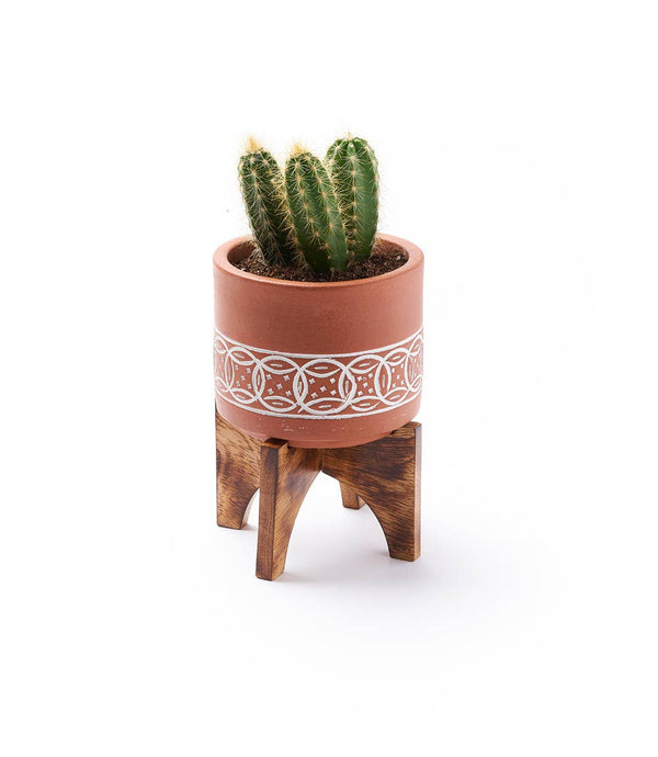 Daksha Terracotta Plant Pot with Wood Stand