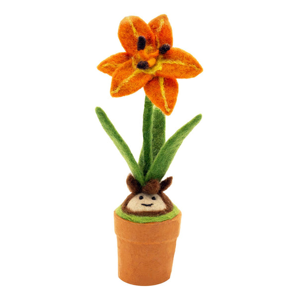 Day Lily Blossom Potted Plant