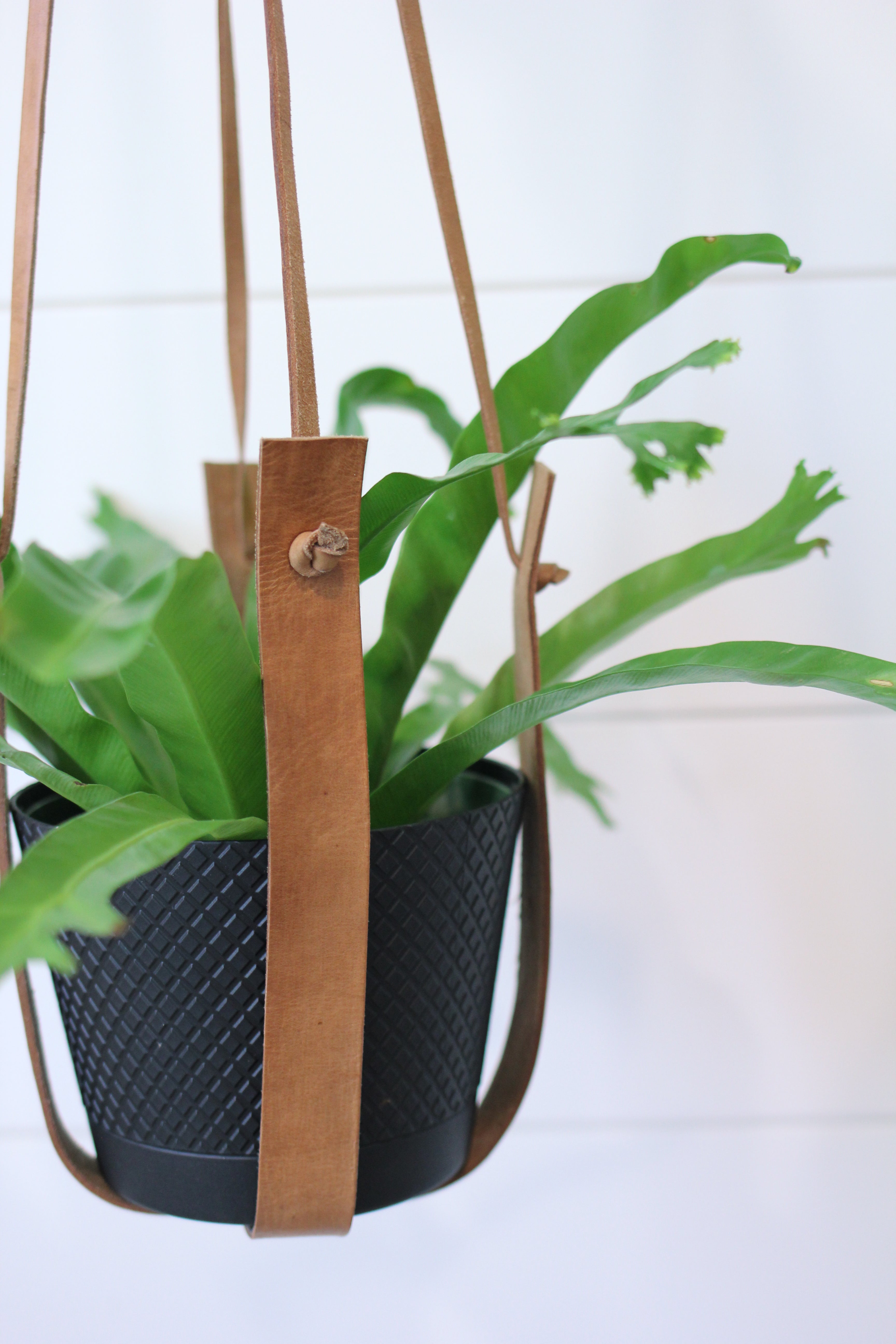 Jubilee Trading Co. Flourish Leather Plant Hanger - Thumbnail 2