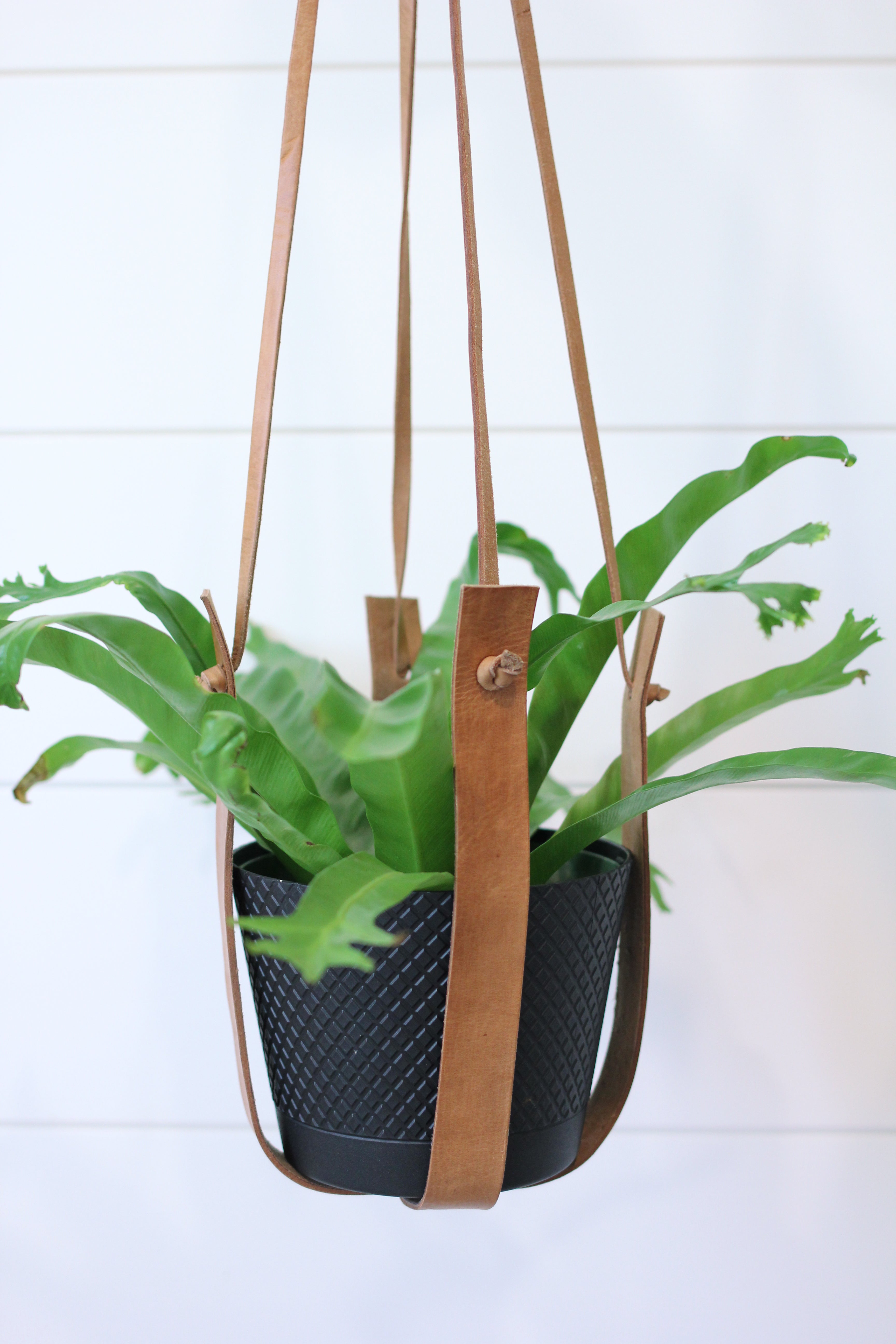 Jubilee Trading Co. Flourish Leather Plant Hanger