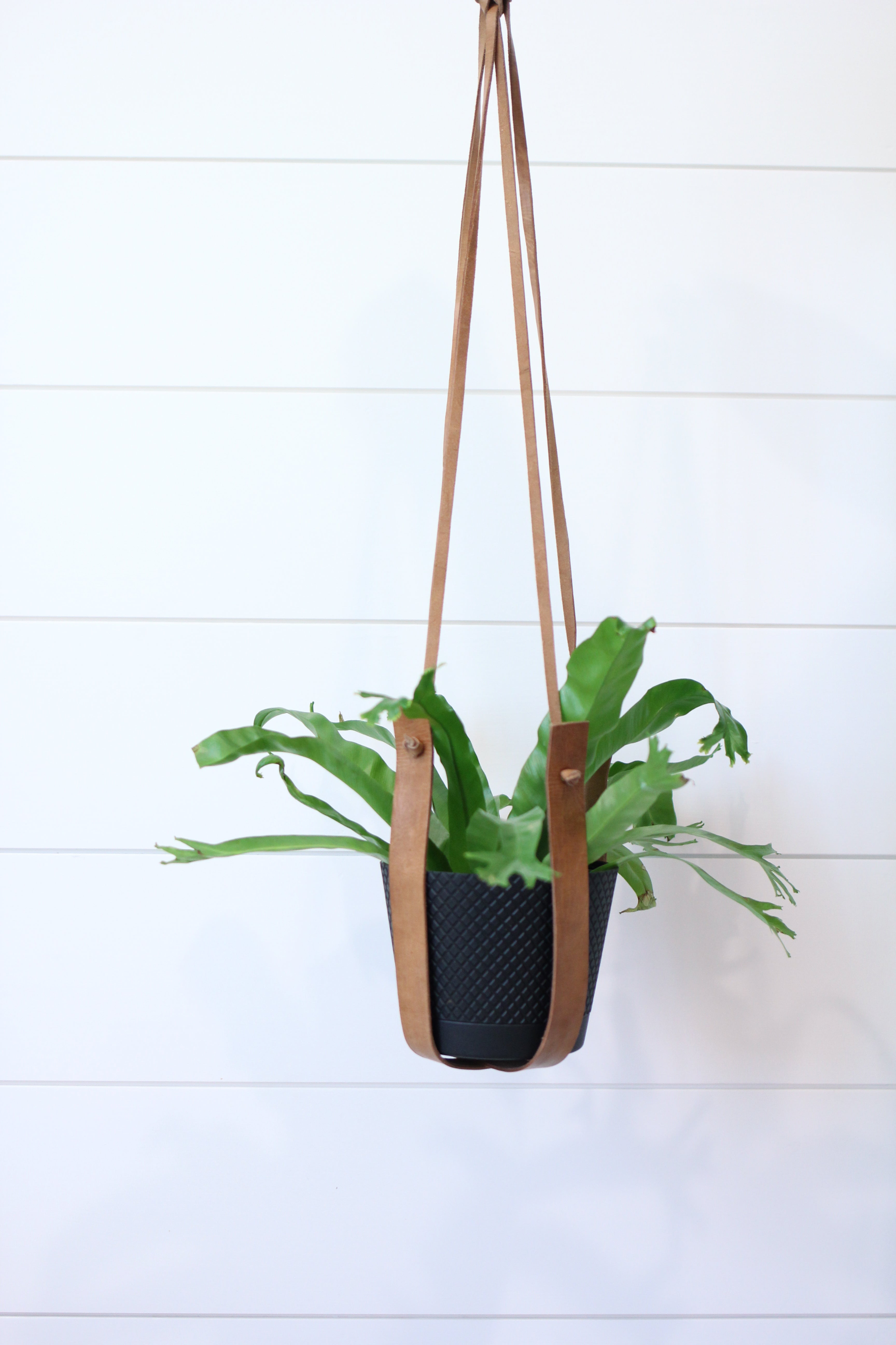 Jubilee Trading Co. Flourish Leather Plant Hanger - Thumbnail 3