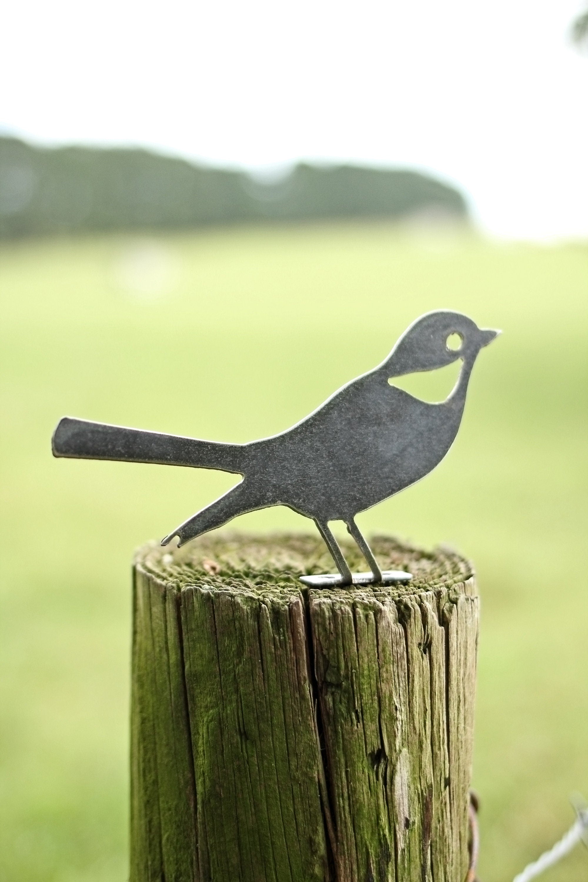 Metal Bird Statue - Mockingbird / Robin |  bird watcher garden gift bird art rustic outdoor decor